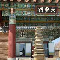눈 내린 3월의 낙산사, 설악산과 바다를 품은 고요한 사찰