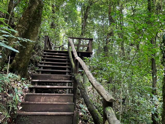 เที่ยวกิ่วแม่ปาน สวรรค์บนยอดดอย!🌿🌬️ 