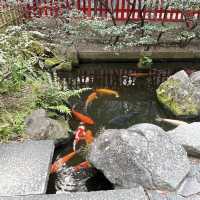 【天神】天神の名前の由来✨鯉が泳ぐ個性派神社✨