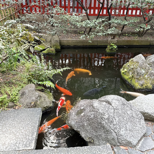 【天神】天神の名前の由来✨鯉が泳ぐ個性派神社✨