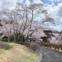 Shizumine Furusato Park, Ibaraki
