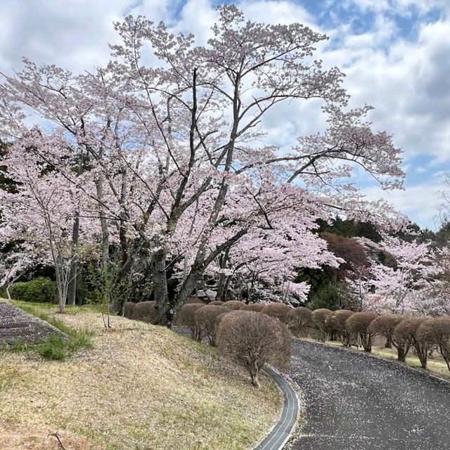 Shizumine Furusato Park, Ibaraki