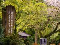 【神々の気配を感じる⛩️】霧島神宮（きりしまじんぐう）
