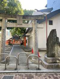 【福岡県博多🇯🇵若宮神社】海上安全、土地の守り神☺️