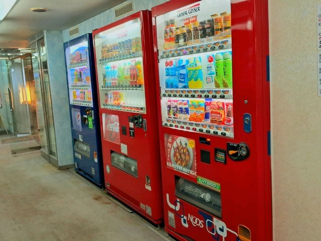 【屋久島】屋久島と鹿児島の移動はフェリーがお得！