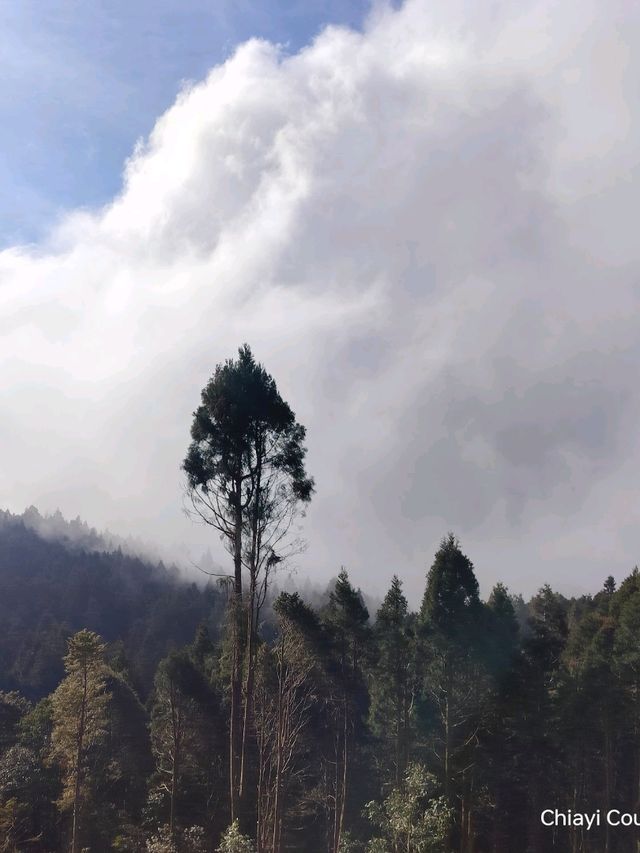 จุดชมวิว Zhushan Station Mt.Okasawara Alishan
