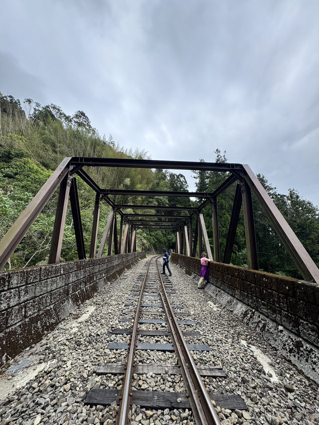 走讀阿里山林道鐵路的百年風華～奮起湖站到十字路站