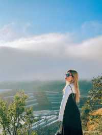 THE CAMP VILLE DALAT 