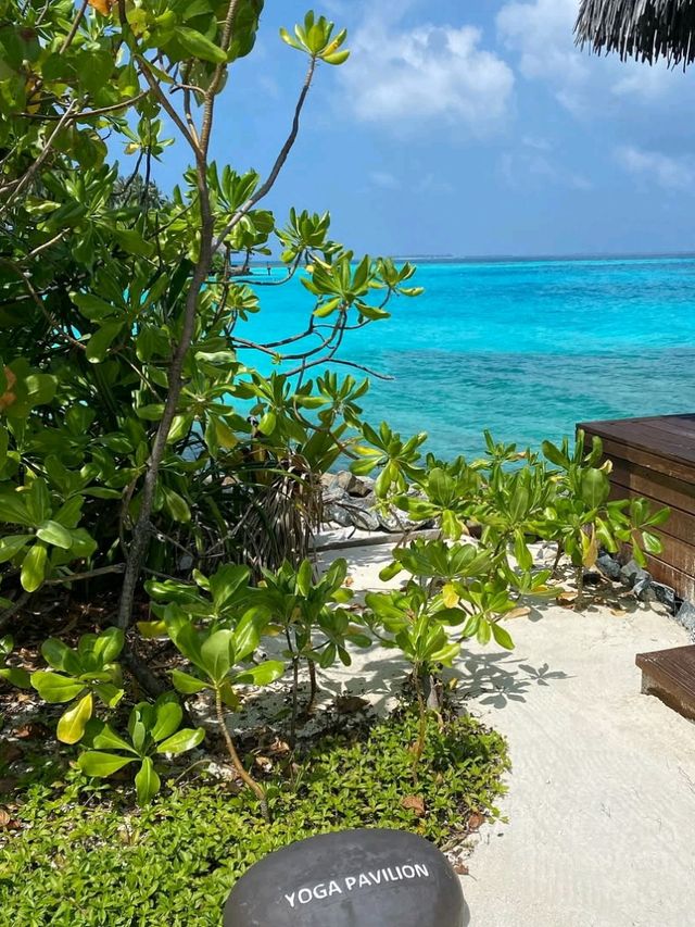 Cheval Blanc Randheli: A Slice of French Paradise in the Maldives🌊✨  