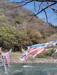 【材木岩公園】国の天然記念物「材木岩」の造形美