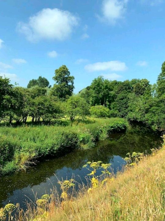 Pollok Country Park