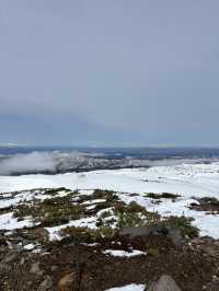 【北海道・旭川】旭岳ロープウェイで大雪山の大自然を体感しよう