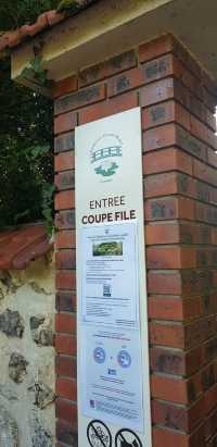 🎨 Fondation Monet in Giverny – 모네의 정원, 꿈같은 아침
