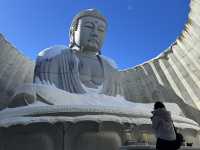 Hill of the Buddha