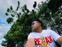Under the Pines at Sudrigde Resort Davao