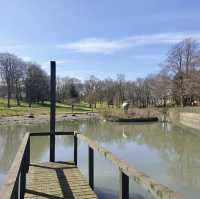 Peaceful Green Escapes to Explore in Birmingham 