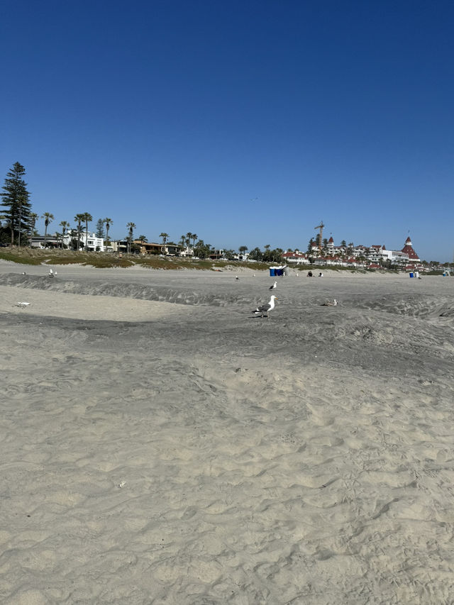 🏖️ Coronado Central Beach, 샌디에고의 럭셔리 해변!