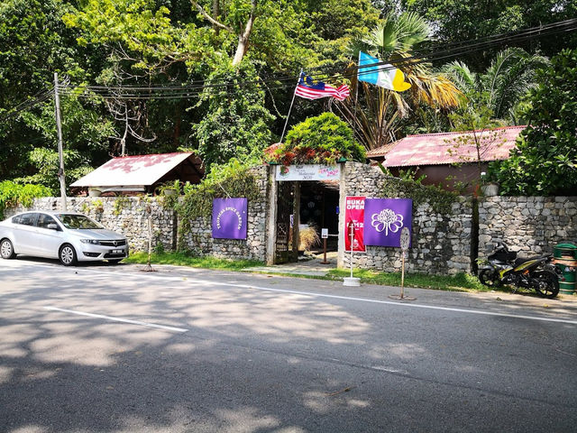 🌿 Spice Up Your Life: A Wild & Whimsical Day at Tropical Spice Garden, Penang!  