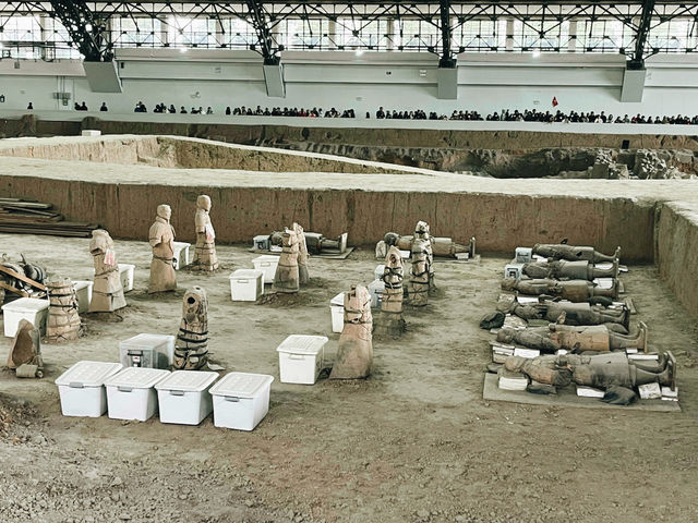 Terra-Cotta Warriors 西安兵馬俑🗿