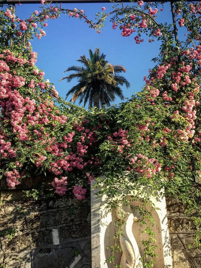 🇮🇹봄날 로마 여행｜수천 년보다 찰나의 장미 한 송이🌹