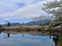 佐賀縣小城市旅行