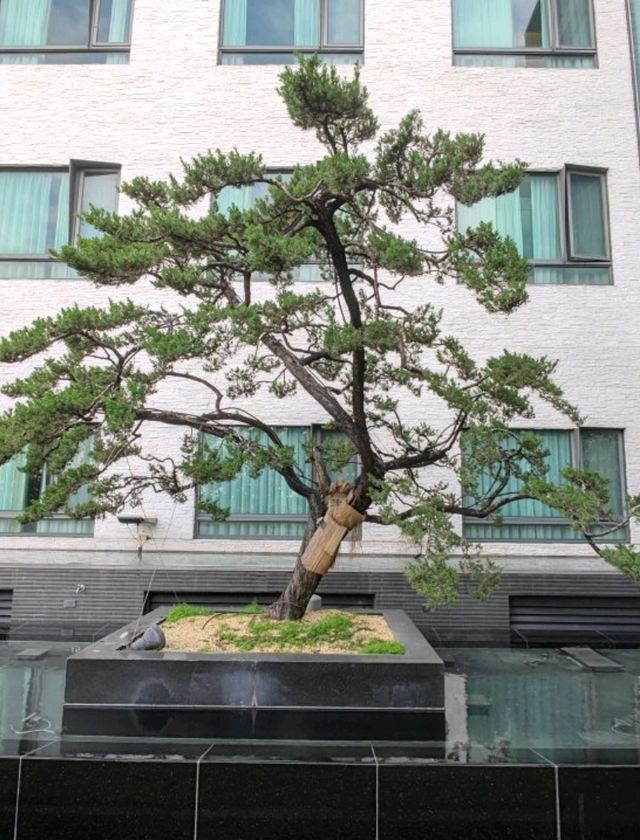 #仁義湖岸大酒店-嘉義縣番路鄉