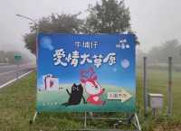 #旺來山-愛情大草原-嘉義縣番路鄉