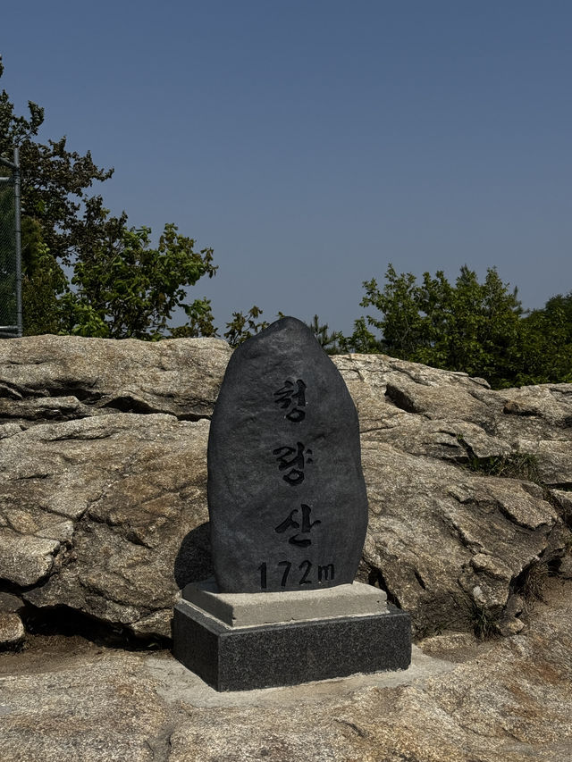 겹벚꽃 피는 봄에 청량산 등산
