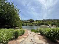 Adelaide Hills Botanic Garden: A Nature Lover’s Hidden Paradise