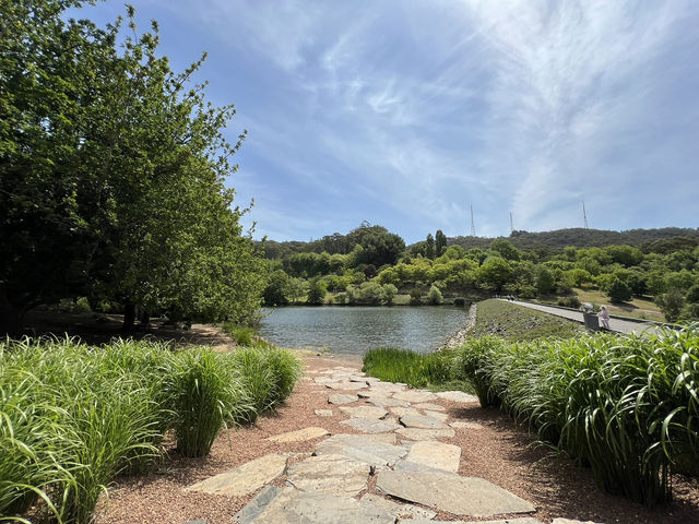 Adelaide Hills Botanic Garden: A Nature Lover’s Hidden Paradise
