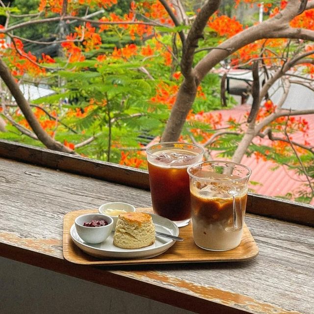 🕍🚀🚠✨ FOHHIDE ร้านกาแฟร้านโปรดย่านนิมาน