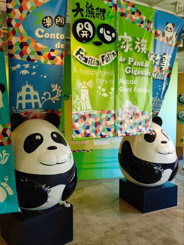 澳門大熊貓館奇遇記~與可愛的熊貓近距離接觸與療癒周邊!