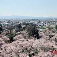  A Springtime Escape at Tsuruga castle