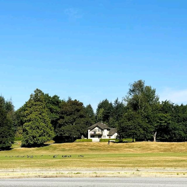 Stanley Park – Vancouver, BC (Canada)