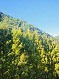 A Breath of Fresh Air at Jangtaesan Natural Recreational Forest
