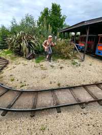 Steel and Serenity: Why Sheffield Stole My Heart