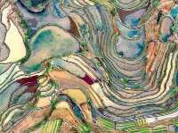  Honghe Hani Rice Terraces sparkle