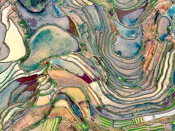  Honghe Hani Rice Terraces sparkle