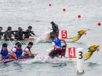 🛶**香港龍舟節：熱血與歡樂的盛宴**🛶