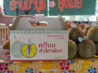 กินทุเรียน...ต้อง “สาลิกาพังงา” เท่านั้น!