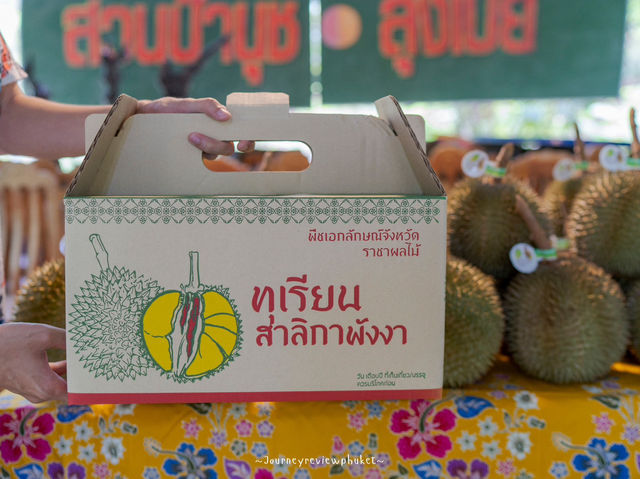 กินทุเรียน...ต้อง “สาลิกาพังงา” เท่านั้น!