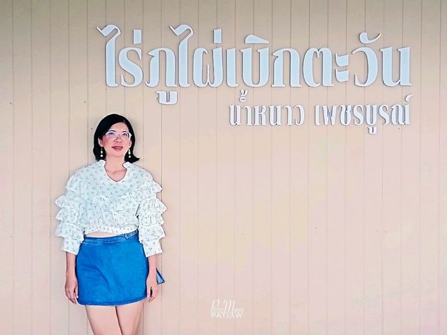 บ้านภูไผ่เบิกตะวัน ที่พักน้ำหนาว