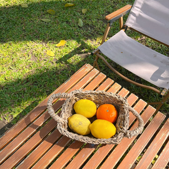 คาเฟ่ราชบุรี🍃𝗙𝗮𝘃𝗼𝗿 𝗙𝗶𝗲𝗹𝗱 