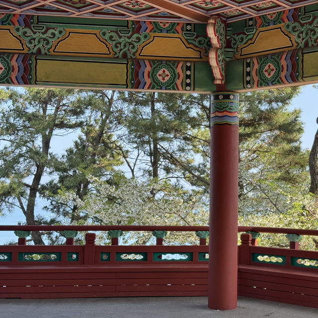 해운대 달맞이길