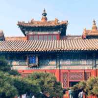 The Lama Temple: Beijing’s Majestic Buddhist Heart