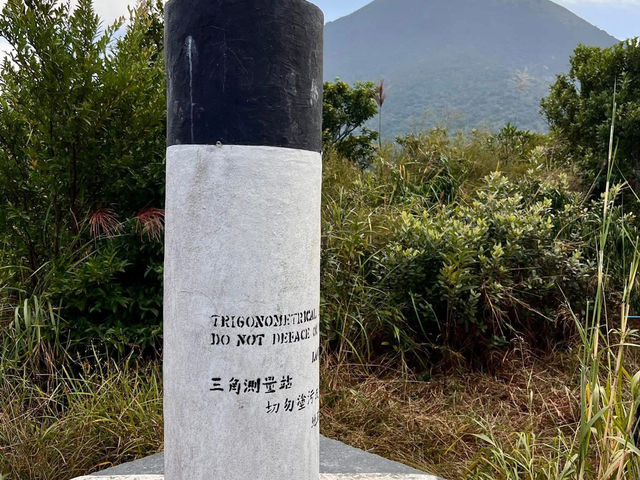 🗺️**探索香港芒草盛放:大東山**🗺️