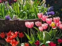 Tyntesfield – Victorian Splendour in a Somerset Estate