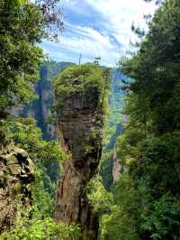 Wandering through the peaks that inspired Avatar. #YuanJiaJie