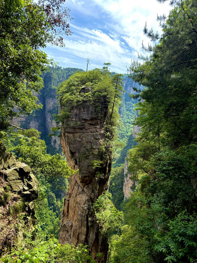 Wandering through the peaks that inspired Avatar. #YuanJiaJie
