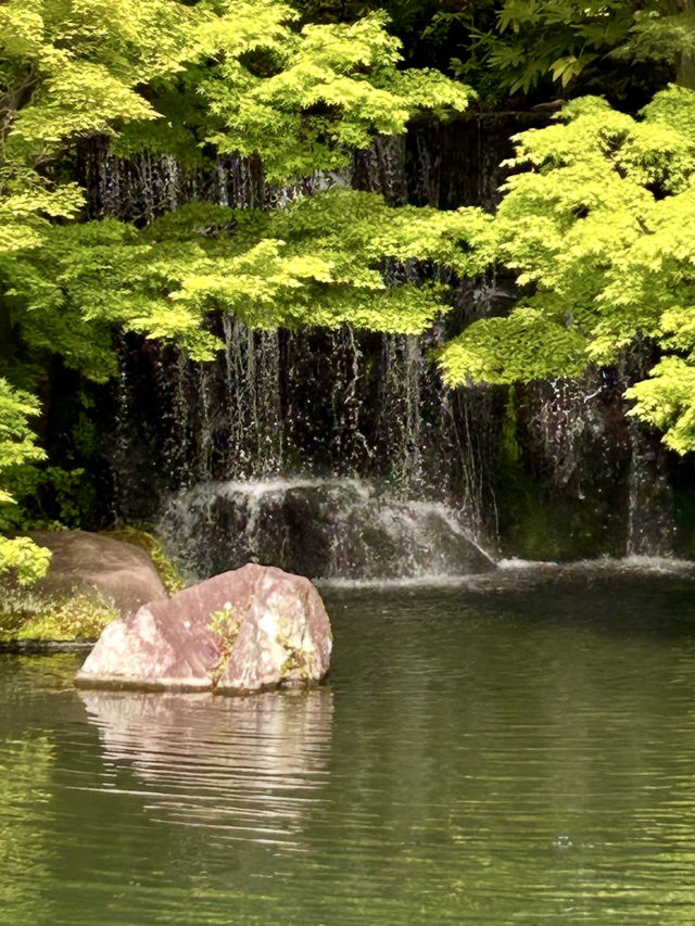 A Laid-Back Day in Himeji – Castles, Calm & a Few Furry Friends
